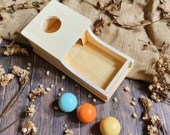 Montessori Object Permanence Box, Ball Drop Box, Montessori Speelgoed voor 1 jaar oud, Peuterspeelgoed, Babyspeelgoed, Babycadeaus, Houten Speelgoed, Sensorisch