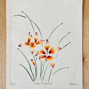 Könnte beinhalten: Ein Aquarellgemälde von "Golden Peach Iris" Blumen. Das Kunstwerk zeigt weißes Papier mit orangefarbenen und weißen Irisblüten, grünen Stielen und Blättern. Das Gemälde ist signiert und mit 3/250 nummeriert.
