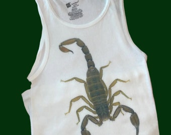 Scorpion tank