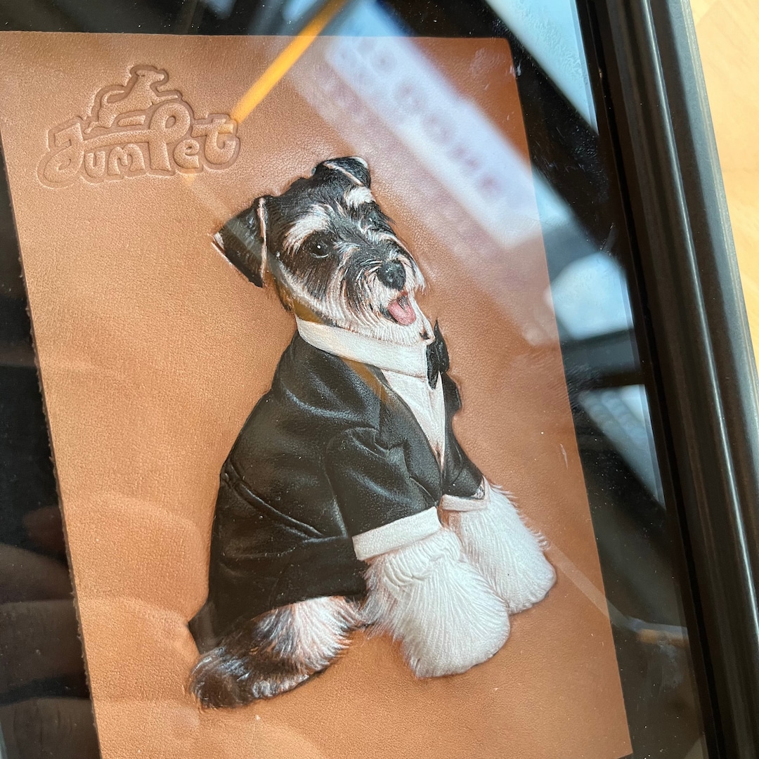Expedition Fee for Pet Leather Carving (Personalization)