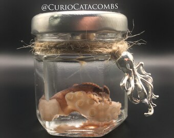 Wet Specimen Octopus Tentacle Jar