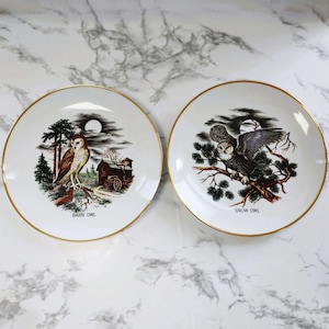 Vintage 1988 Decorative Owl Plates - Jewell&#39;s Gems