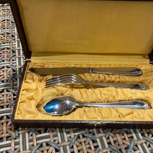 Ménagère 12 Couteaux De Service APOLLONOX – Métal Argenté Inox – Vintage