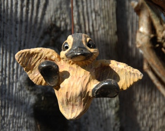 baby wood duck