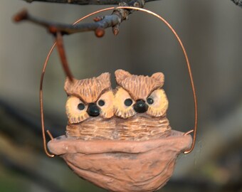 Great horned owls walnut nest