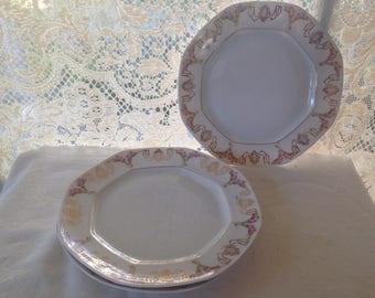 M Z Altrohlau Austria China Dinner Plate Set SIX 6 Rose Garlands 24k Gold Swags Moritz Zdekauer Formal Dining