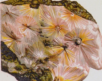 Natrolite Stilbite Crystal Stone Mineral Vintage Lithograph Edwardian Geology Print To Frame 37