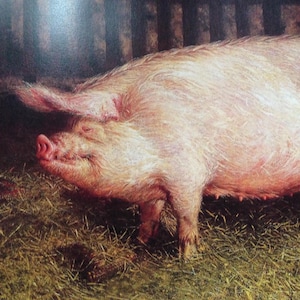 Puede incluir: Pintura de un gran cerdo rosa de pie en una zona herbosa. El cerdo tiene un pelaje rosa claro y un hocico y orejas de color rosa más oscuro. El fondo presenta una estructura de madera.