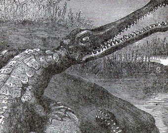 Antediluvian Crocodiles Victorian Era Vintage 1887 Black & White Natural History Wild Animal Engraving To Frame