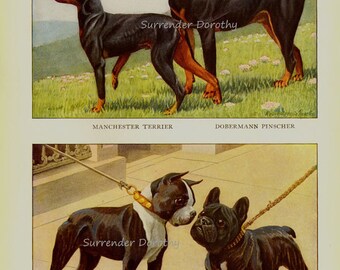 PORTER×B印 YOSHIDA DOBERMAN BOSTON il_fullxfull.341210770.jpg