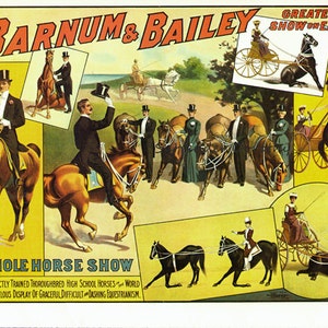Trick Horses Equestrian Riders Barnum & Bailey Circus Poster 1900s Full Color Advertisement Lithograph To Frame image 2