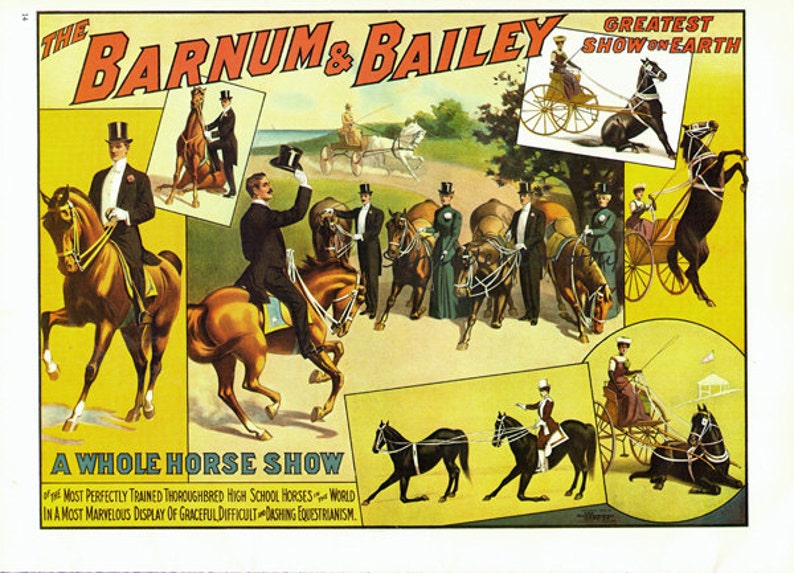 Trick Horses Equestrian Riders Barnum & Bailey Circus Poster 1900s Full Color Advertisement Lithograph To Frame image 2