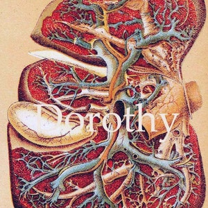 Human Anatomy Heart Liver Stomach Lung Vintage Medical Lithograph Chart 1908 Original image 3