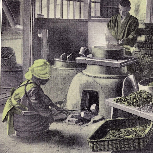 1928 Steaming Tea Leaves For Green Tea In Japan Hand-Tinted Photo Briskly Refreshing