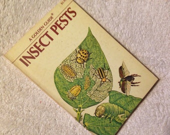 Golden Guide Insect Pests Entomology Field Guide George S Fichter Golden Press Paperback Book 1966 Edition