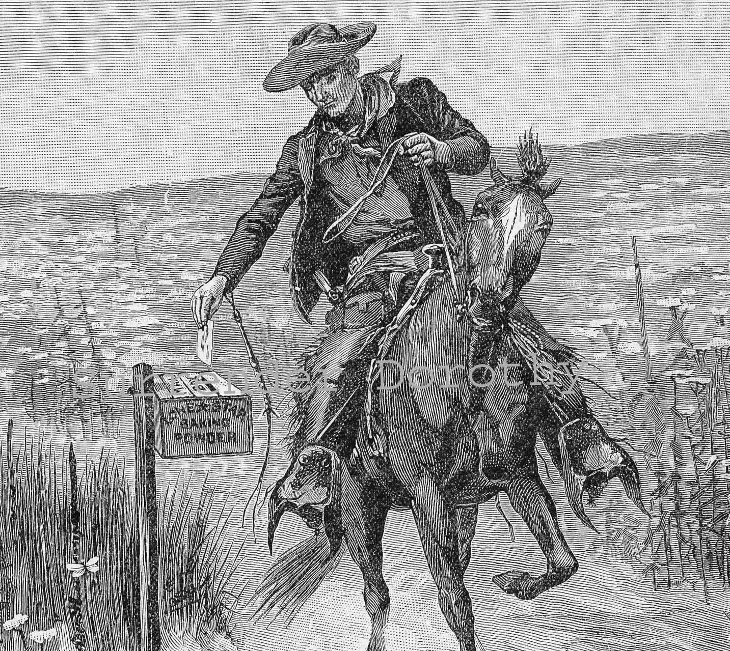 Pony Express Mailman on Horseback 1882 Vintage Victorian Print for