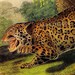 see more listings in the Audubon Animal Prints section