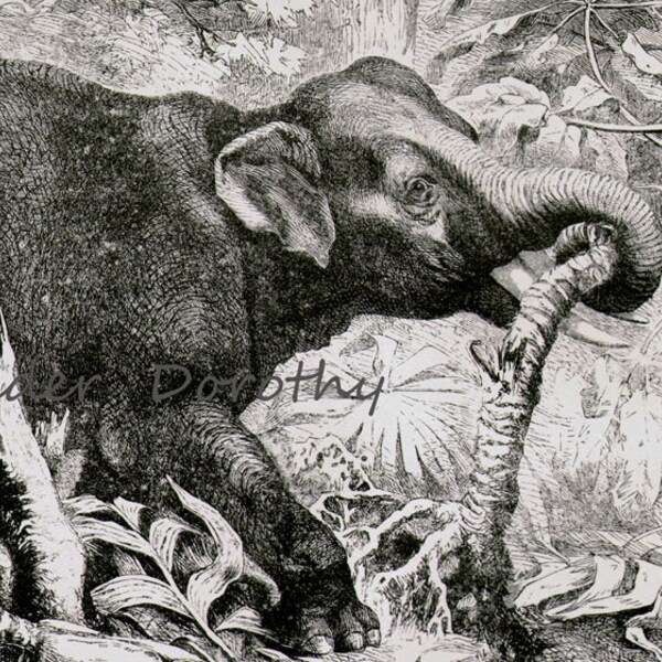 Indian History Frame Etsy