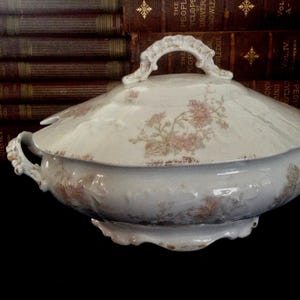 Limoges Soup Tureen Pink Aster Pattern Gold Trim USA 1910s Covered Serving Bowl France