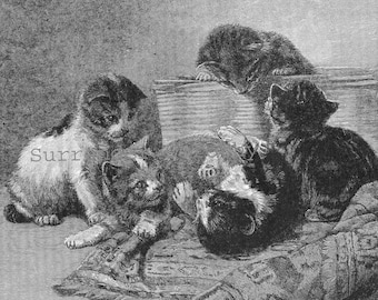 Playful Kittens Children's Nursery Art 1927 Sweet Vintage Illustration To Frame Black & White Pets