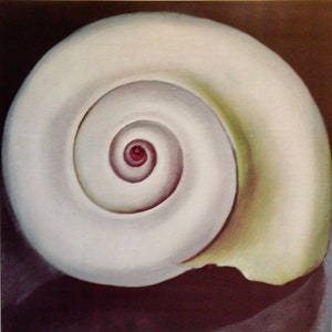 May include: A close-up painting of a white seashell with a spiral design. The center of the spiral is a deep red color, and the outer edges of the shell have a slight yellow tint. The background is a dark brown.