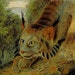 see more listings in the Audubon Animal Prints section