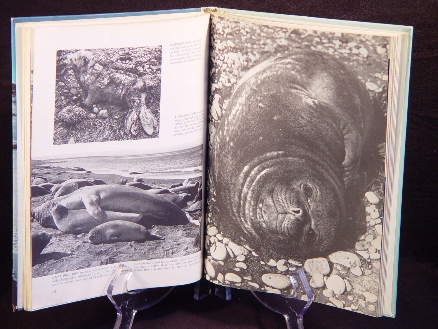 1962 the Poles Life Nature Library Lavishly Illustrated Life Book