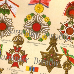 Medals Awards Asian Countries Victorian Illuminated Chromolithograph Chart From Germany 1887 image 1