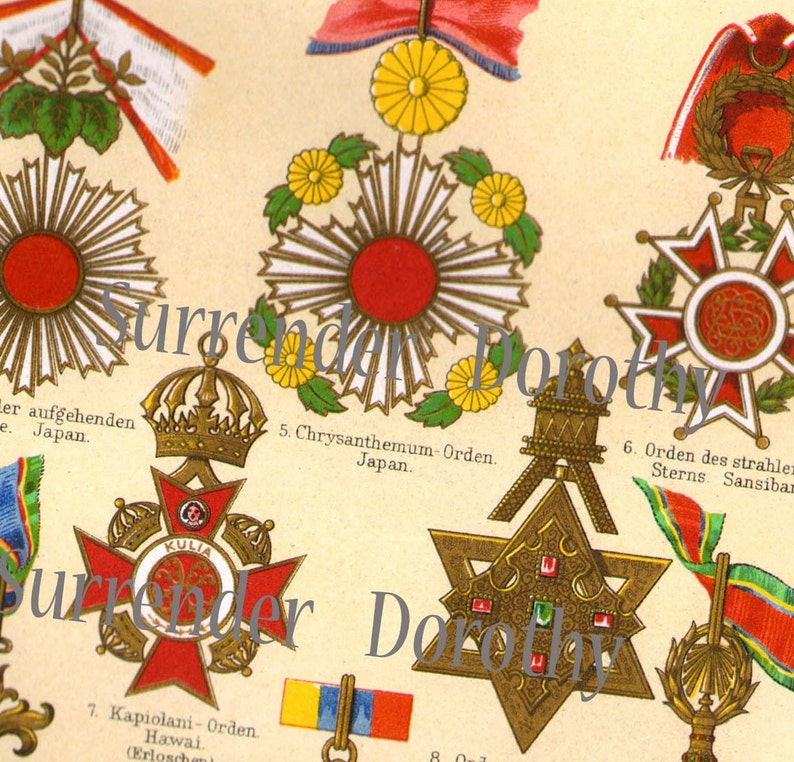 Medals Awards Asian Countries Victorian Illuminated Chromolithograph Chart From Germany 1887 image 1