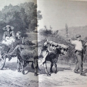 May include: An antique black and white illustration depicts a rural scene. Two oxen pull a cart with two people seated in it. A man walks alongside, guiding the oxen. The image is detailed, showing the landscape and figures.