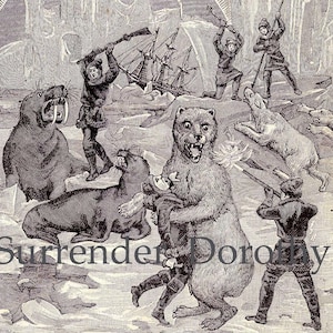 Niedźwiedzie polarne Morsy Odkrywcy Dziwny Vintage Wiktoriański Druk Historii Naturalnej 1887 Czarno-biały
