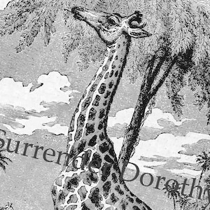 Bella giraffa o camelopardo dell'Africa 1892 vintage vittoriano africano home decor storia naturale incisione al telaio