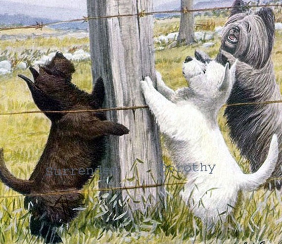 Scottie Westie Skye Terrier Dogs Louis Agassiz Fuertes Etsy
