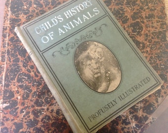 Stories About Animals Every Child Should Know Natural History For the Young Lonnkvist, Frederick Published E.M. Scull, 1908