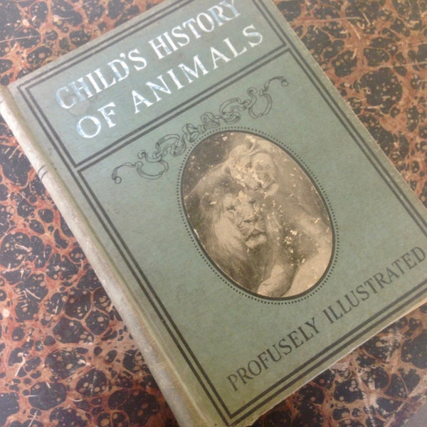 Stories About Animals Every Child Should Know Natural History For the Young Lonnkvist, Frederick Published E.M. Scull, 1908
