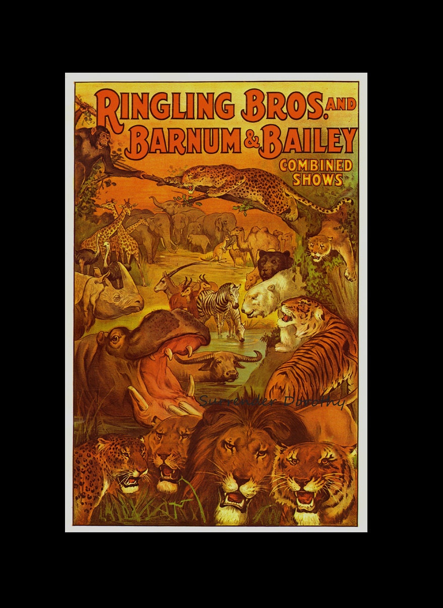 Circus Poster Wild Animal Menagerie Ringling Bros Barnum Circus Poster Polito Framed A Poster 
