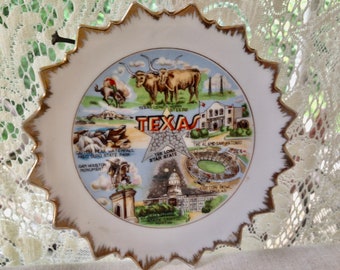 Texas USA Tourist Trap Plate Retro 1970s Home Decor Lone Star State