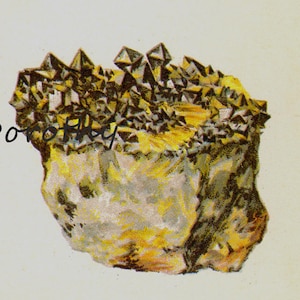 Könnte beinhalten: Nahaufnahme einer Gesteinsformation mit einem Cluster aus dunklen, spitzen Kristallen auf der Oberseite. Die Kristalle sind von einer gelben und braunen Basis umgeben.