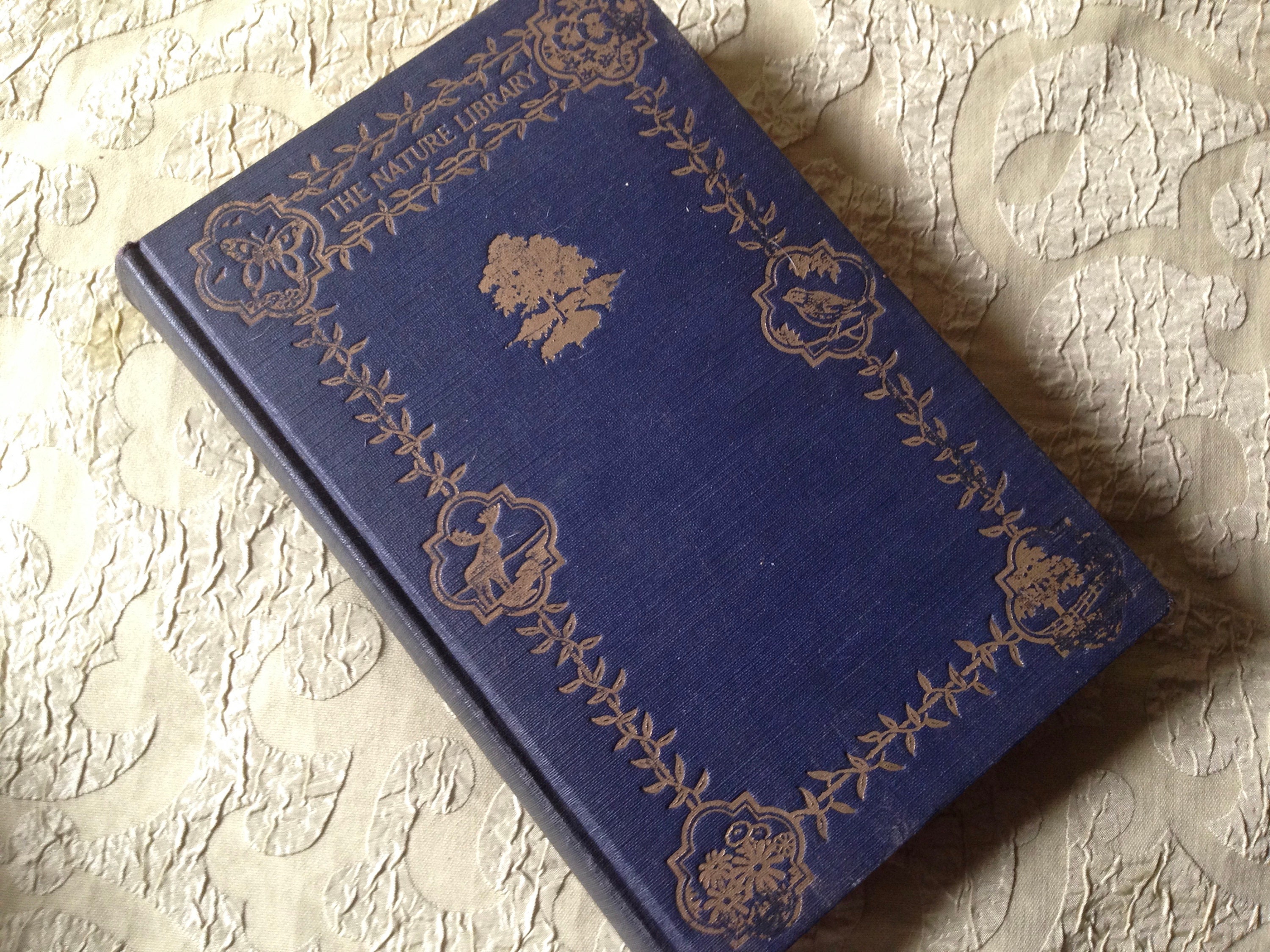 The Nature Library Trees Julie Ellen Rogers Field Guide Hardcover