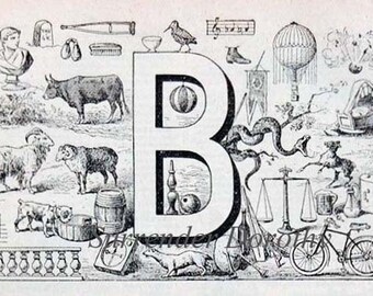 Letter B  French Dictionary Alphabet Chart Paris France To Frame