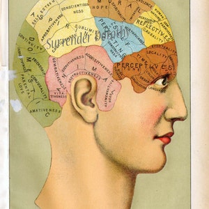 Frenologie menselijk hoofd anatomie 1906 Edwardiaanse kwakzalverij lithografie uitvouwbare medische grafiek Edwardiaanse tijdperk