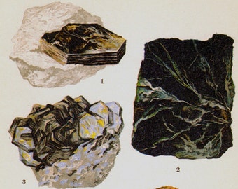 Muscovite Biotite Zinnwaldite Clinochlore Lepidolite Crystal Stone Mineral Vintage Lithograph metallic ink Edwardian Geology Print 34