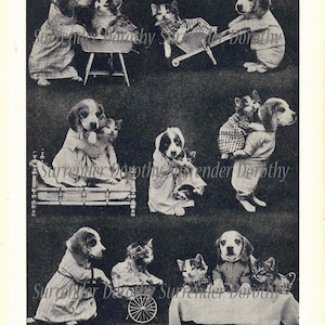 Playmates Puppies Kittens Vintage Children&#39;s Illustration By Harry W Frees To Frame 1927 Black & White