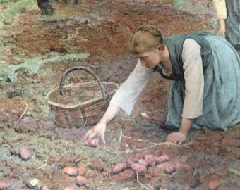 Potato Gatherers Guy Orlando Rose 1896 Antique Lithograph Engraving To Frame Large Size Color Print