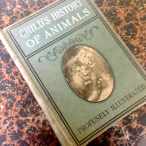 Verhalen over dieren die elk kind zou moeten kennen Natuurlijke historie Voor de jonge Lonnkvist, gepubliceerd door Frederick, E.M. Scull, 1908