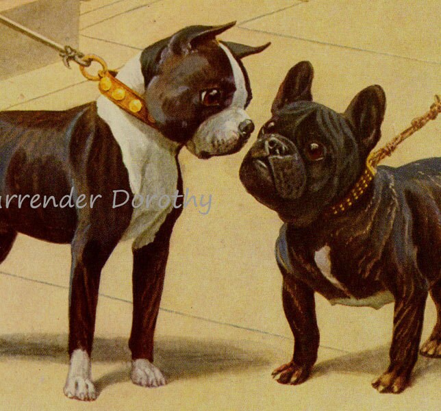 PORTER×B印 YOSHIDA DOBERMAN BOSTON il_fullxfull.341210770.jpg
