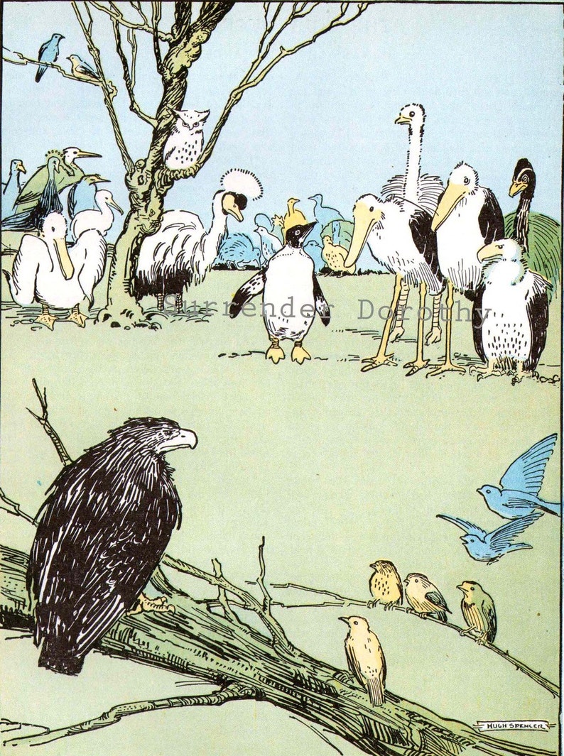 Meeting of The Birds by Hugh Spencer 1927 Vintage Nursery Illustration To Frame image 1