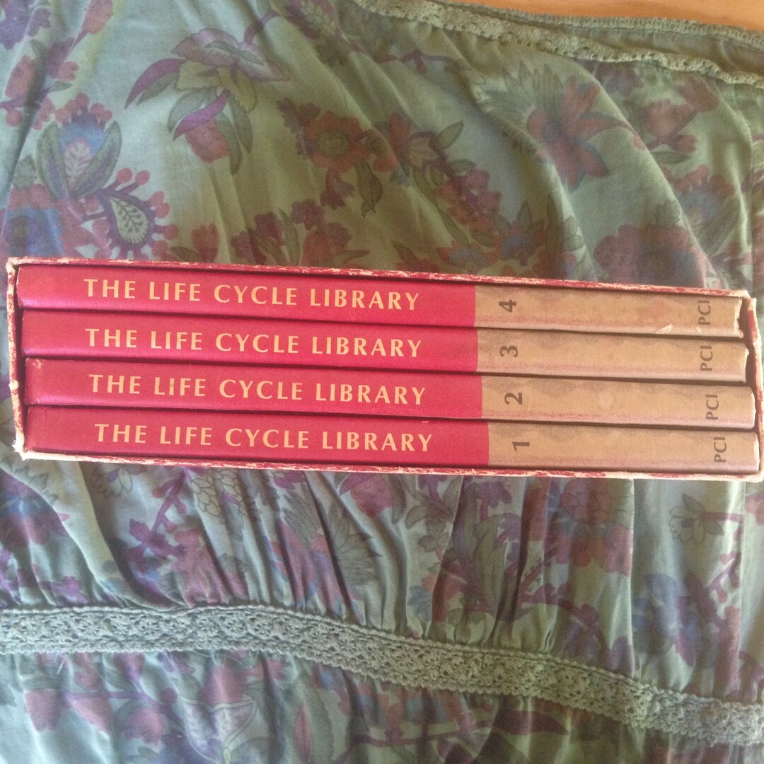 Life Cycle Library for Young People 4 Volumes Sex Education 1969 ...