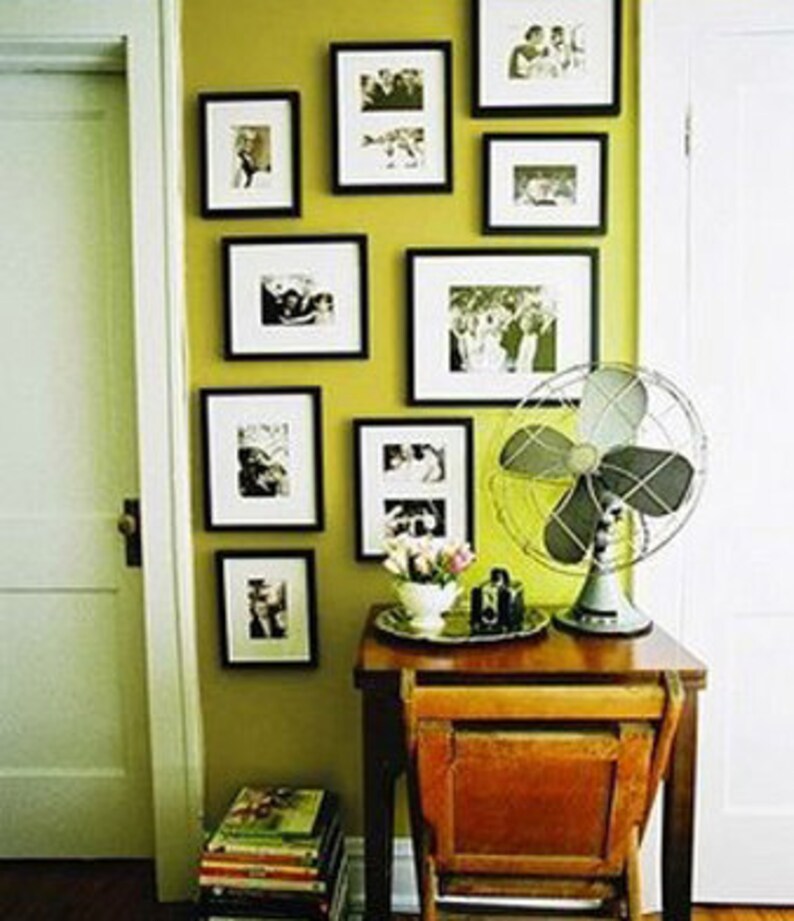 Madonna Lily Flower Mediterranean Botanical Exotica 1969 ...