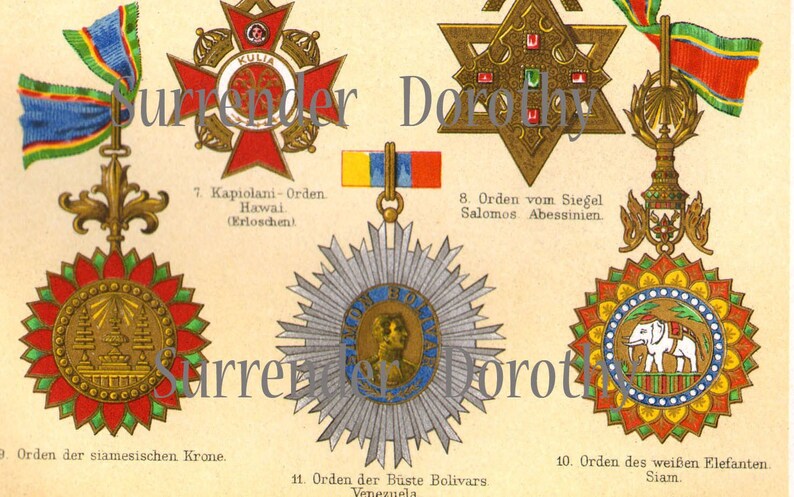 Medals Awards Asian Countries Victorian Illuminated Chromolithograph Chart From Germany 1887 image 2